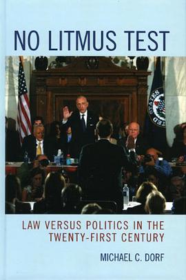 No Litmus Test pdf epub mobi 电子书 下载