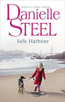 Safe Harbour pdf epub mobi 电子书 下载