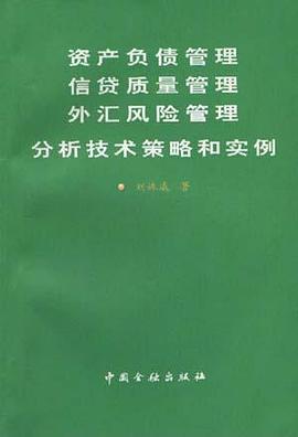 资产负债管理信贷质量管理外汇风 pdf epub mobi 电子书 下载
