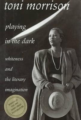 Playing in the Dark pdf epub mobi 电子书 下载