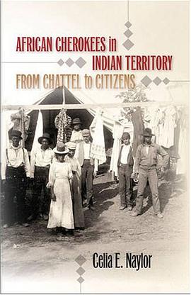 African Cherokees in Indian Territory pdf epub mobi 电子书 下载