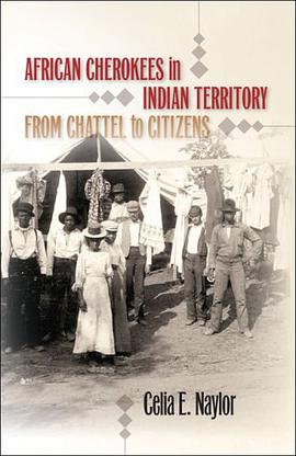African Cherokees in Indian Territory pdf epub mobi 電子書 下載