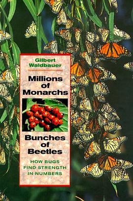 Millions of Monarchs, Bunches of Beetles