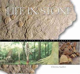 Life in Stone