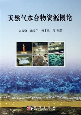 天然气水合物资源概论 pdf epub mobi 电子书 下载