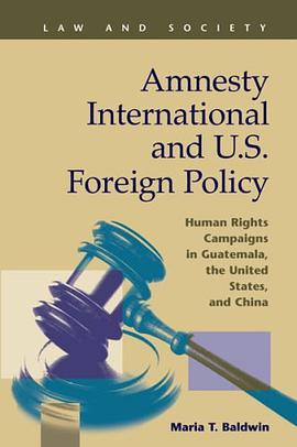 Amnesty International and U.S. Foreign Policy pdf epub mobi 电子书 下载