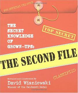 The Secret Knowledge of Grown-ups pdf epub mobi 电子书 下载