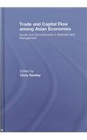 Trade and Capital Flow Among Asian Economies pdf epub mobi 下载