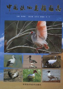 中國陝西鳥類圖誌 pdf epub mobi 電子書 下載