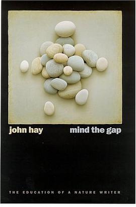 Mind the Gap pdf epub mobi 电子书 下载
