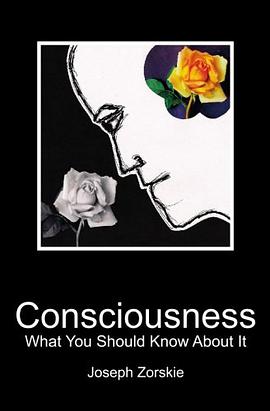 Consciousness pdf epub mobi 電子書 下載