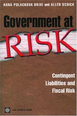Government at Risk pdf epub mobi 电子书 下载