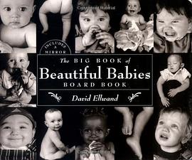 Big Book of Beautiful Babies board book pdf epub mobi 电子书 下载