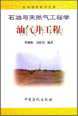 石油与天然气工程学 pdf epub mobi 电子书 下载