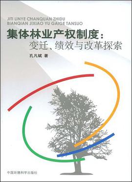 集体林业产权制度 pdf epub mobi 电子书 下载