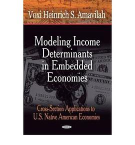 Modeling Income Determinants in Embedded Economies pdf epub mobi 电子书 下载