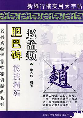赵孟頫·胆巴碑技法精练 pdf epub mobi 电子书 下载