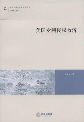 美国专利侵权救济 pdf epub mobi 电子书 下载