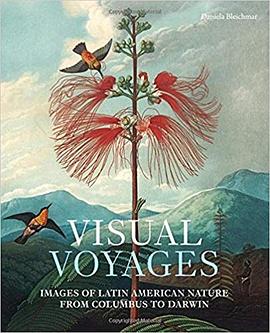 Visual Voyages pdf epub mobi 電子書 下載