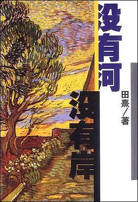 没有河没有岸 pdf epub mobi 电子书 下载