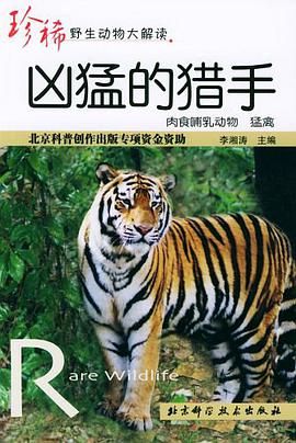 凶猛的猎手 pdf epub mobi 电子书 下载