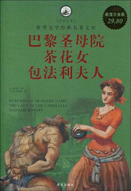 超值白金版 圖文 巴黎聖母院 茶花女 包法利夫人 pdf epub mobi 電子書 下載