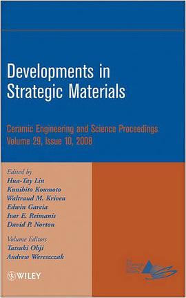 Developments in Strategic Materials pdf epub mobi 电子书 下载
