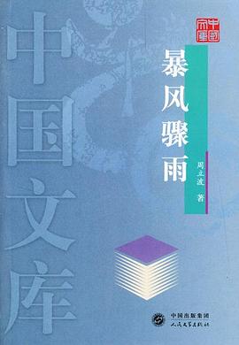 暴风骤雨 pdf epub mobi 电子书 下载
