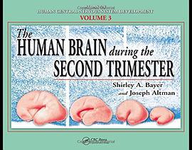 The Human Brain During the Second Trimester pdf epub mobi 电子书 下载