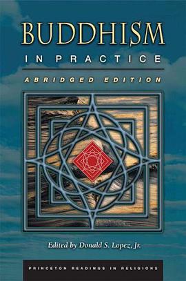 Buddhism in Practice pdf epub mobi 电子书 下载