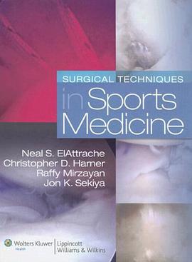 Surgical Techniques in Sports Medicine pdf epub mobi 电子书 下载