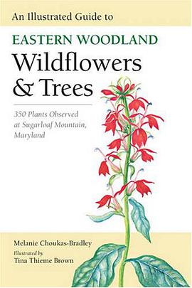 An Illustrated Guide to Eastern Woodland Wildflowers and Trees pdf epub mobi 電子書 下載