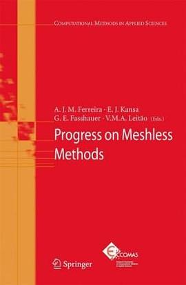 Progress on Meshless Methods pdf epub mobi 電子書 下載