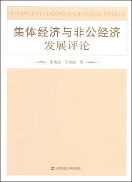 集体经济与非公经济发展评论 pdf epub mobi 电子书 下载