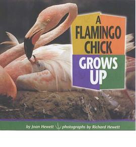 A Flamingo Chick Grows Up pdf epub mobi 下载