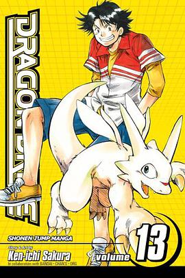 Dragon Drive, Volume 13 pdf epub mobi 电子书 下载