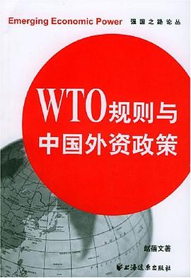 WTO规则与中国外资政策 pdf epub mobi 电子书 下载