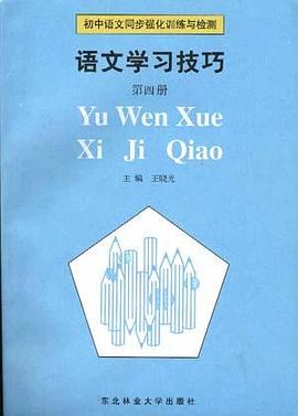 初中物理同步强化训练与检测--物理学习技巧第二册(下) pdf epub mobi 电子书 下载