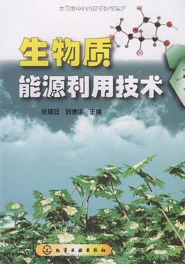 生物质能源利用技术 pdf epub mobi 电子书 下载