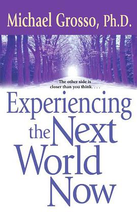 Experiencing the Next World Now pdf epub mobi 电子书 下载