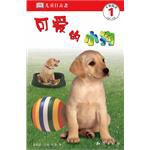 DK 儿童目击者(套装共6册) (平装) pdf epub mobi 电子书 下载