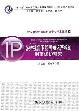 多维视角下我国知识产权的刑事保护研究 pdf epub mobi 电子书 下载