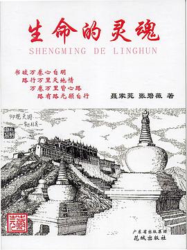 生命的灵魂 pdf epub mobi 电子书 下载