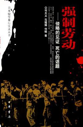 强制劳动 pdf epub mobi 电子书 下载