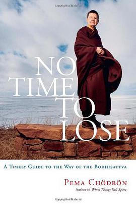 No Time to Lose pdf epub mobi 电子书 下载