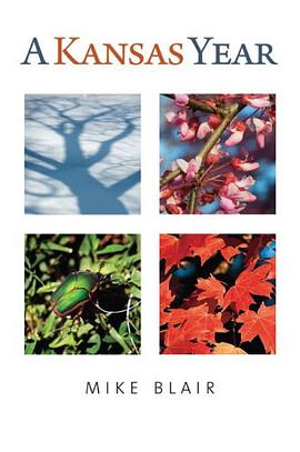 A Kansas Year pdf epub mobi 电子书 下载