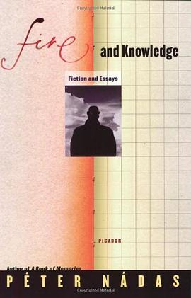 Fire and Knowledge pdf epub mobi 电子书 下载