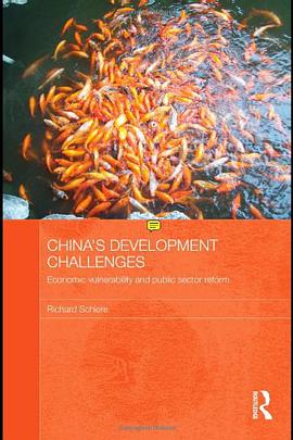 China's Development Challenges pdf epub mobi 电子书 下载