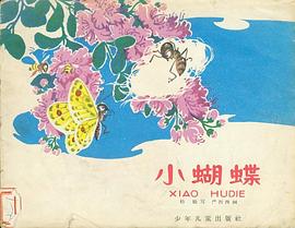 小蝴蝶 pdf epub mobi 电子书 下载