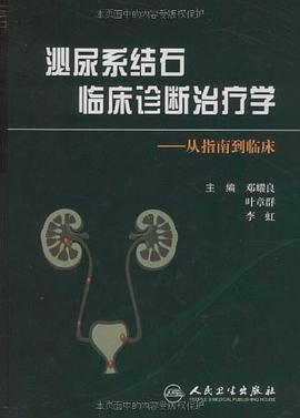 泌尿系结石临床诊断治疗学 pdf epub mobi 电子书 下载